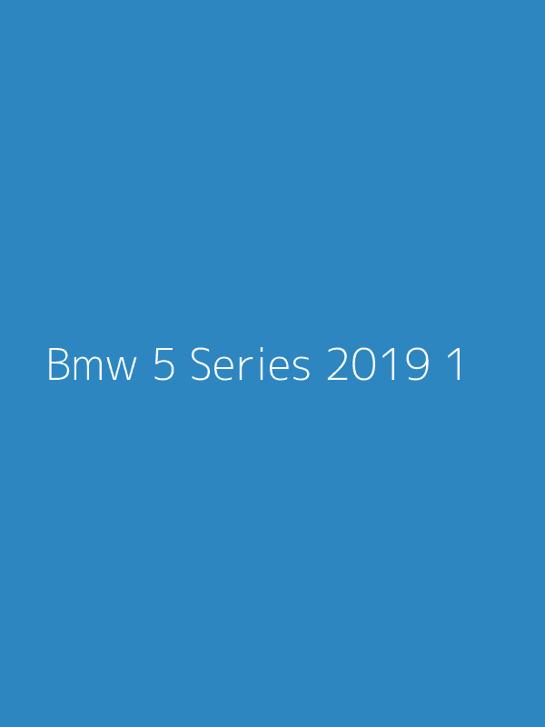 2019 Bmw 5 Series